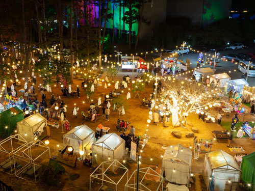 漢拏樹木園夜市+星光公園