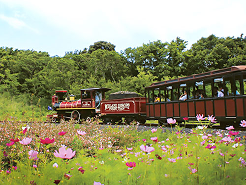 ECOLAND 歐式森林小火車