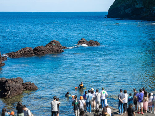 濟州海女表演