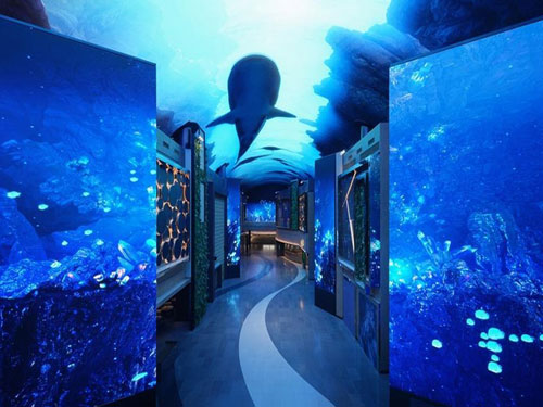 INSPIRE仁川迎仕柏渡假村（絕美LED極光道）