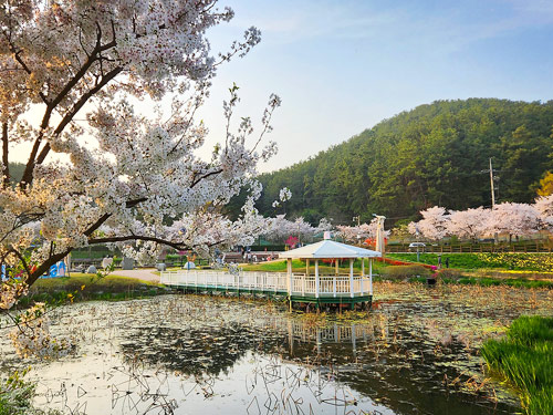【仙岩湖水公園】