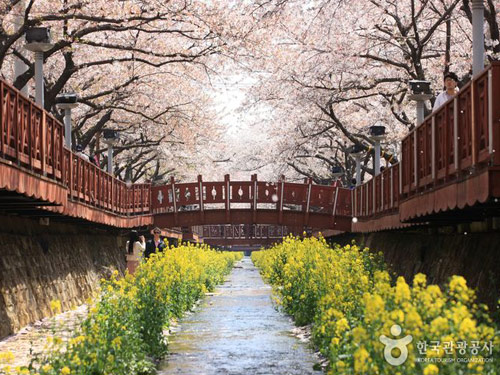 余佐川羅曼史橋